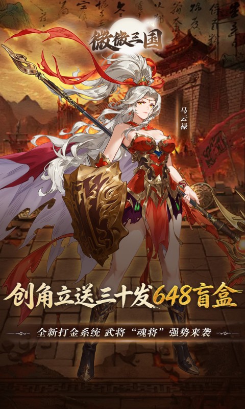 微微三国游戏截图4